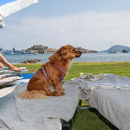 Hotell Airone Isola D'elba 4*