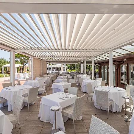 Airone Isola D'elba Portoferraio