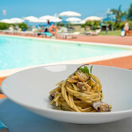 Airone Isola D'elba Portoferraio