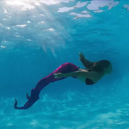 Airone Isola D'elba Hotel 4*