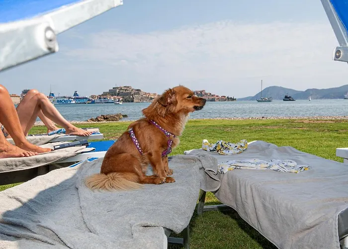 מלון Airone Isola D'elba 4*